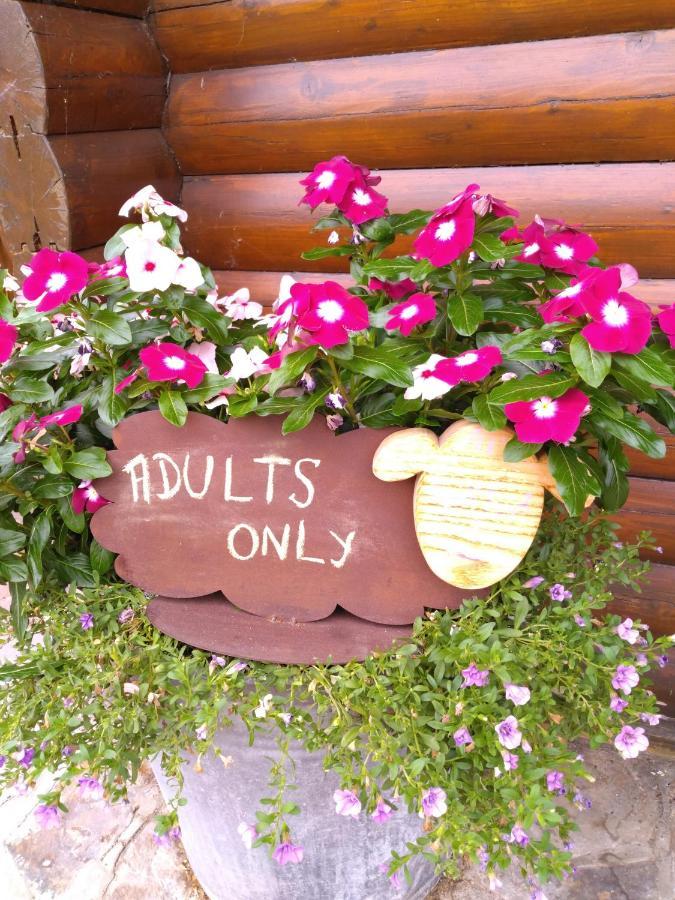 Au Paradou Du Bucheron Adults Only Lessive Eksteriør bilde